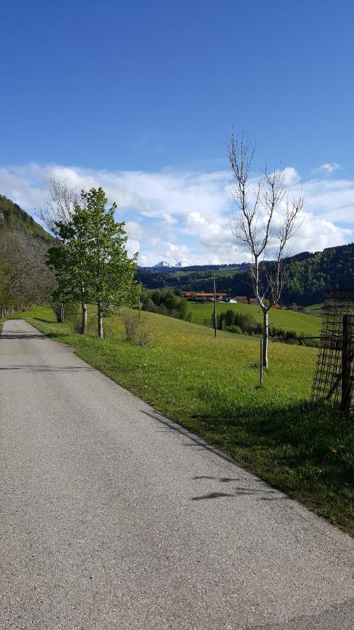 Fewo Friado Im Ferienpark Oa - Ohne Zusatzkosten Nach Anreise - Mit Hallenbad, W-Lan, Pkw-Garage, Kurtaxe Mit Allgaeu-Walser-Pass, Bett- Und Handtuch-Waesche Sowie End-Reinigung Missen Wilhams Bagian luar foto