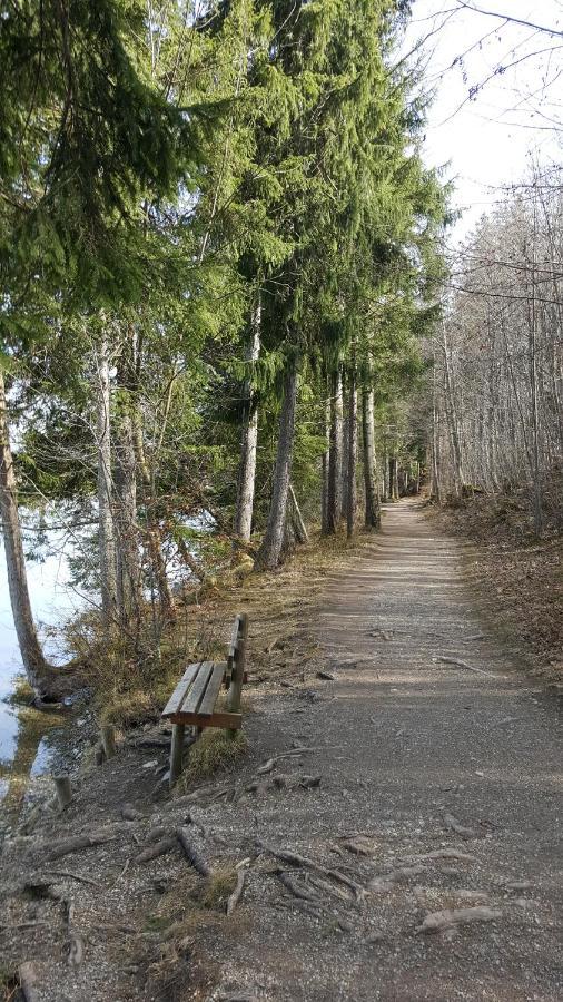 Fewo Friado Im Ferienpark Oa - Ohne Zusatzkosten Nach Anreise - Mit Hallenbad, W-Lan, Pkw-Garage, Kurtaxe Mit Allgaeu-Walser-Pass, Bett- Und Handtuch-Waesche Sowie End-Reinigung Missen Wilhams Bagian luar foto